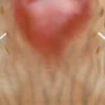 @ligionmaster45