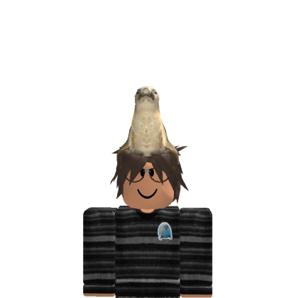 Roblox avatar