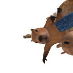 @gdjdhdbg