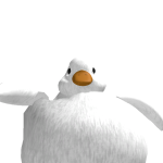 @adrian_navarroo543