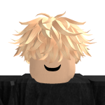 @robloxmasterfsd23