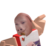 @roblox_user_1685893760