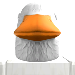 @AvianAdonis