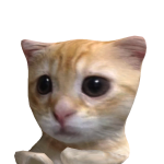 @AvaD908