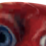 @AeStHeStIc_TuRtLeS