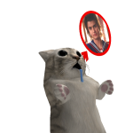 Killerboypals