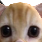 @ham221122