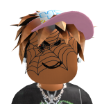 @CookiinOnRobloxx
