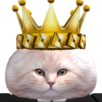 @dueuyd