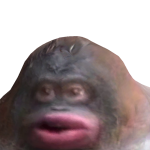 @LENAREDO