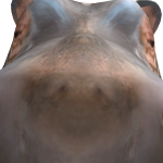@ZummiGummy