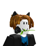 @krqkr2013