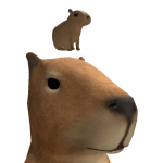 @Dqllfaceee