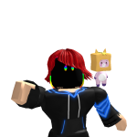 @robloxgiudyu