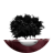 xantaresqz
