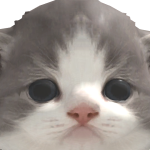 @Miracan3131