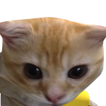 @vFancyJaga