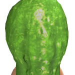 @Froggeturtles