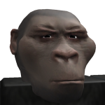 @gholkdv