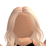 @nash234palomino