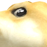 @GUStheGATOR