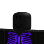 @N1GHTCR4SH