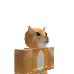 @crazyboy123407