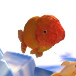 @Frogy_b0y