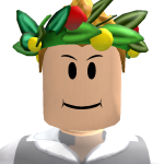 @RobloxPro2014Noah