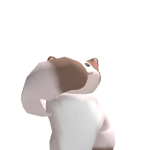@shhailin123