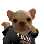 @noahslaneee