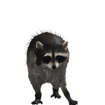 @robloxthomsam