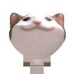 @4321rrrrr