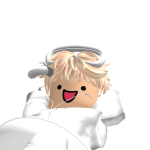 @RobloxDude23555