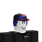 VNRobinALT