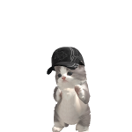 @mateomemn