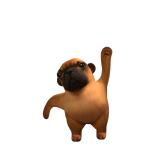 @diegod20466