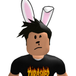 @aminrobloxer