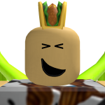 @roblox_user_537010681