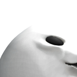 @Lucas_mm2yt