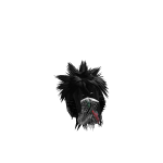 @UN51250484