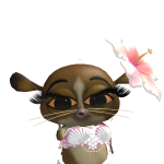 @DaPanda_lol