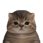 @u3ctt
