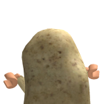 @poppycorn0wl