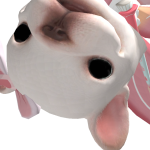 @SAANJO123