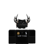 @Congceenisback