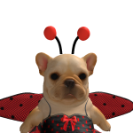@ProbablyJoycelyn