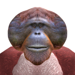 @elephantloverklarkie