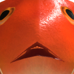 SeaMonkey07