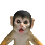 @Carlostherichboy112